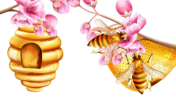 Včely akvarely stavějící plástve na větvích sakury — Stockový vektor
