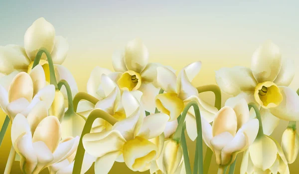 Весняний луг з квітів нарцисів в акварельному стилі — стоковий вектор