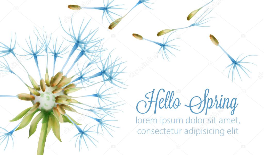 Hello spring banner with watercolor dandelion flower
