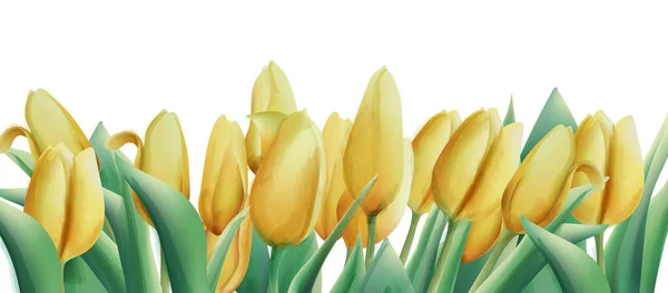 Yellow watercolor tulip flowers with green leaves. Banner — Wektor stockowy