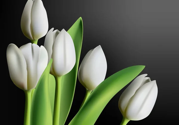 Realistici fiori di tulipano bianco tridimensionale su sfondo sfumato nero — Vettoriale Stock