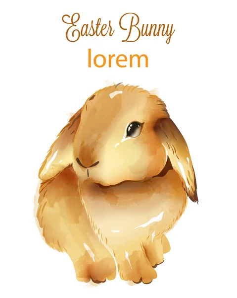 Heureux Pâques aquarelle lapin moelleux avec les oreilles vers le bas — Image vectorielle