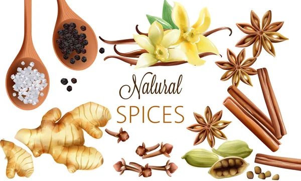 Composición de especias naturales con sal, pimienta negra, jengibre, palitos de canela y vainilla — Vector de stock