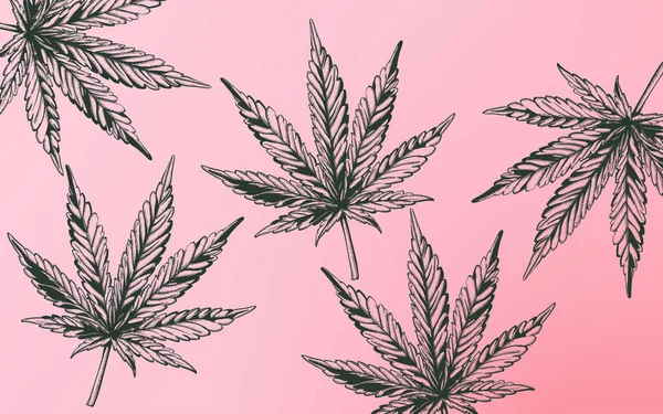 Line art marijuana cannabis bladeren op paarse achtergrond — Stockvector