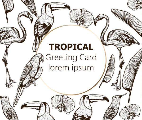 Liniové umělecké složení tropických zvířat a listů. Flamingo, tucano bird, papoušek a vlaštovka — Stockový vektor