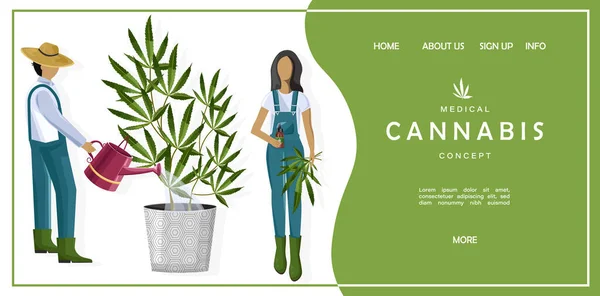 Medische Cannabis Concept Site Template Met Een Paar Boeren Die — Stockvector