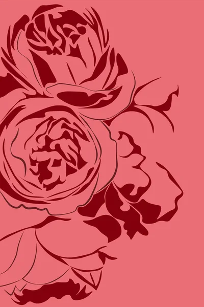 Ilustración de dos flores de peonía roja sobre fondo rosa — Archivo Imágenes Vectoriales