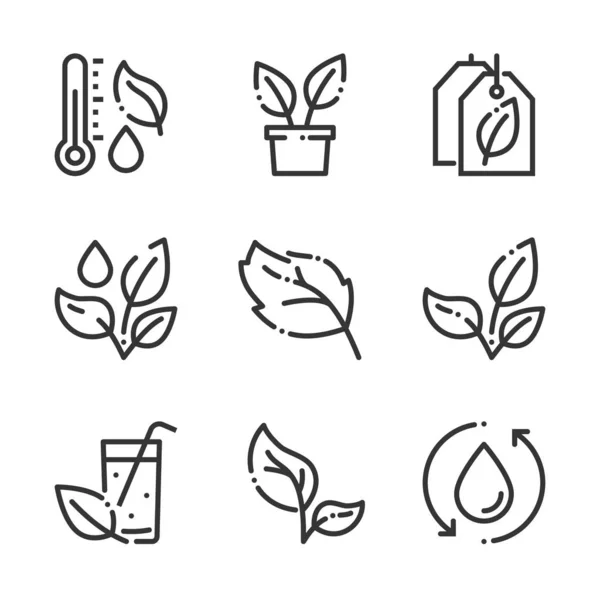 Listy Rostliny Související Tučné Čáry Ikony Ilustrace Jsou Vodě Péči — Stockový vektor