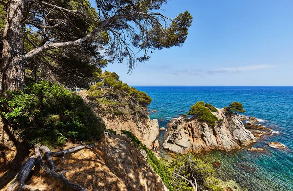 Skalnaté pobřeží Středozemního moře ve Španělsku — Stock fotografie