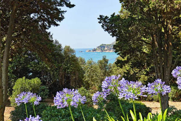 İspanya Akdeniz kıyısında park