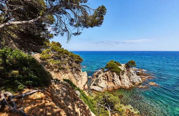 The rocky coast of the Mediterranean Sea in Spain — Stock Photo, Image