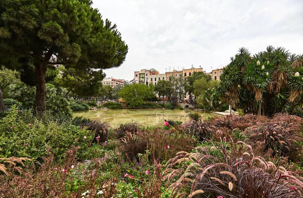 Esquina de naturaleza virgen entre las calles de Barcelona — Foto de Stock