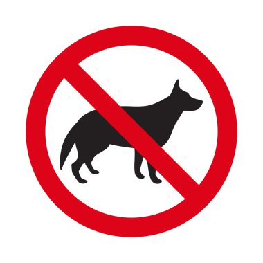 köpek iz yok