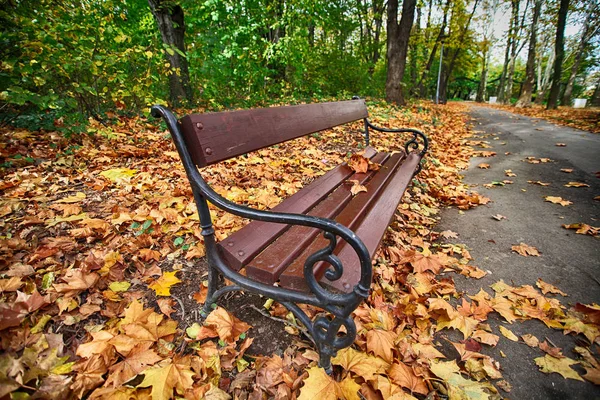 O banco de madeira em um parque — Fotografia de Stock