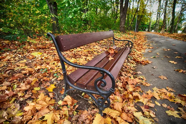 El banco de madera en un parque —  Fotos de Stock