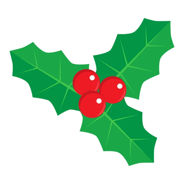 圣诞冬青莓 — 图库矢量图片