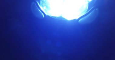 Işık sızıntıları öğesi