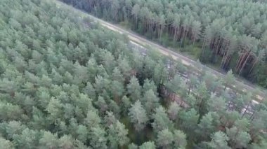 Panorama Forest yakınındaki karayolu üzerinde