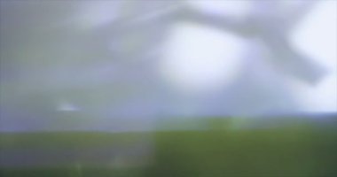 Işık sızıntıları öğesi