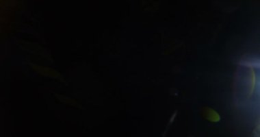 Işık sızıntıları öğesi