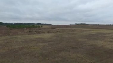 Çayır üzerinde uçuş