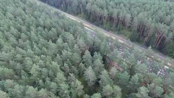 Panorama sobre la carretera cerca del bosque — Vídeo de stock