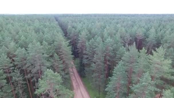 Let nad lesa nedaleko štěrková cesta — Stock video