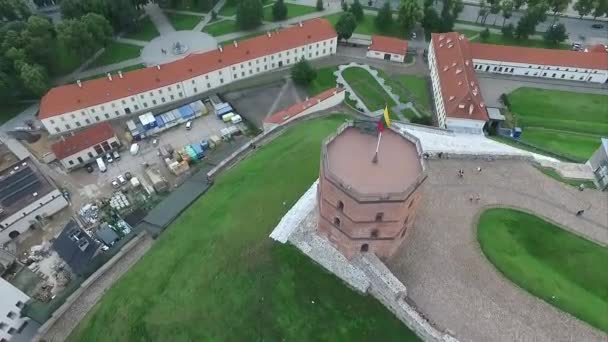 Fliegen um den Turm — Stockvideo