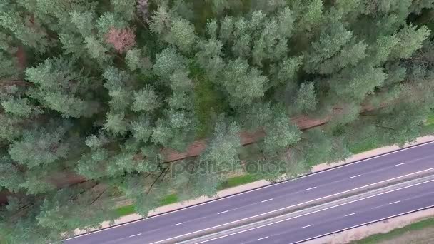 Vertikal flygning över skogen och motorväg — Stockvideo