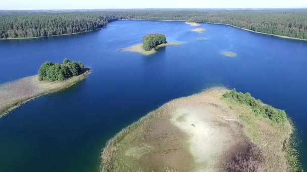 Panorama sur le lac près de la forêt — Video