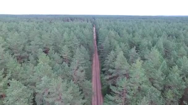Vlucht Over het bos in de buurt van onverharde weg — Stockvideo