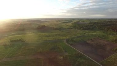 Çayır üzerinde uçuş