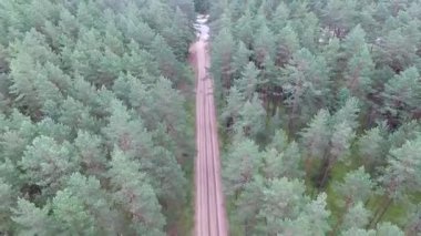 Çakıl yol ve otoyol yakınında orman üzerinde uçuş