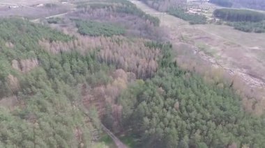 Ağaçlar üzerinde uçuş