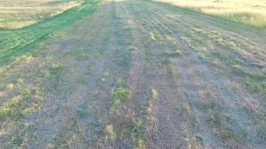 Çayır üzerinde uçuş