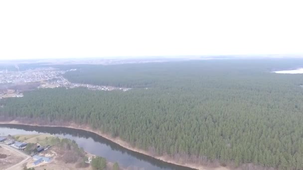 Panorama sobre la pequeña ciudad cerca del bosque — Vídeos de Stock