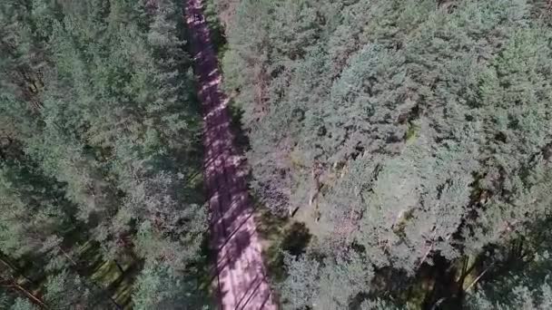 Посадка над лесом и гравийной дорогой — стоковое видео