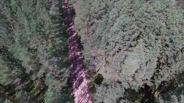 débarquement au-dessus de la forêt et route de gravier 