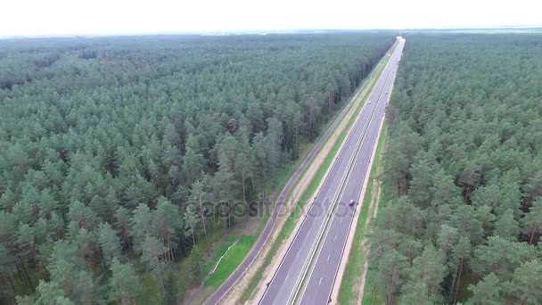 Panorama sobre la carretera cerca del bosque — Vídeo de stock