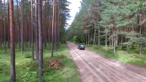 Carro passando na estrada de cascalho na floresta — Vídeo de Stock