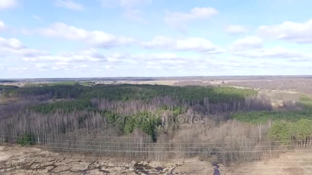 Vue aérienne sur la forêt — Video