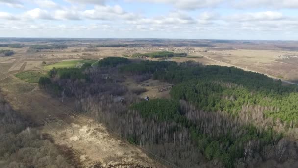 Luchtfoto uitzicht over het bos — Stockvideo