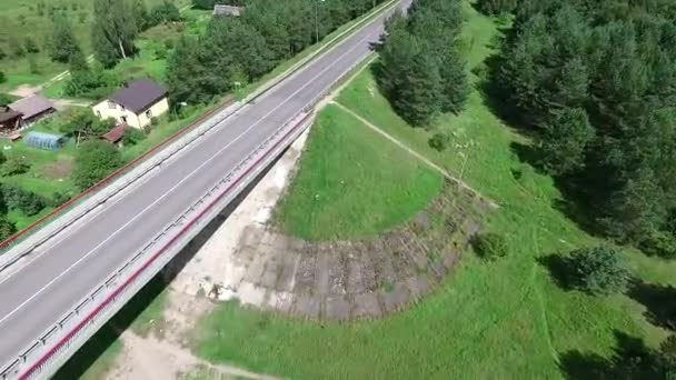 Pouso sobre a ponte perto de árvores — Vídeo de Stock