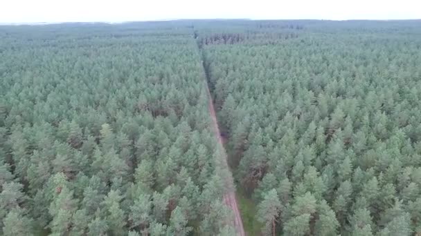 Vista aérea sobre el bosque — Vídeos de Stock