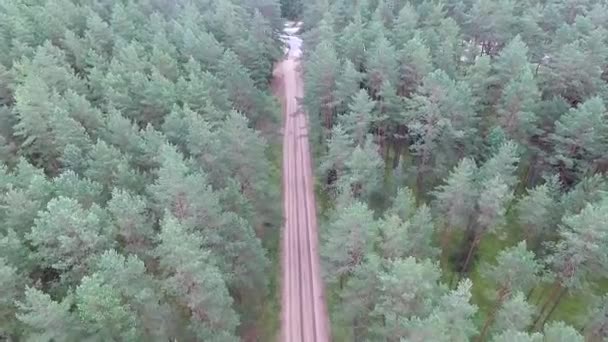 Çakıl yol ve otoyol yakınında orman üzerinde uçuş — Stok video