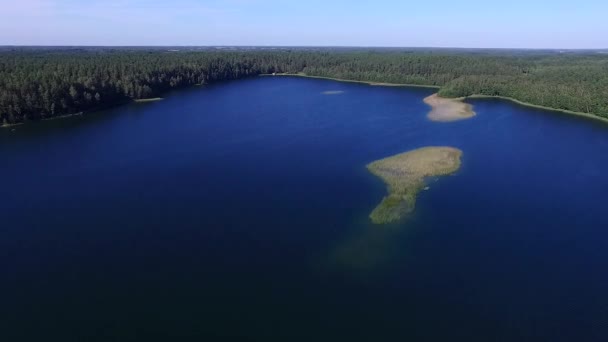 Let nad jezero nedaleko lesa — Stock video