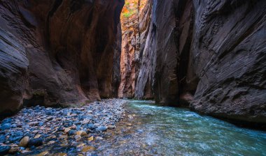 Öğleden sonra Utah, ABD 'deki Zion Ulusal Parkı' nda darlığın güzelliği..