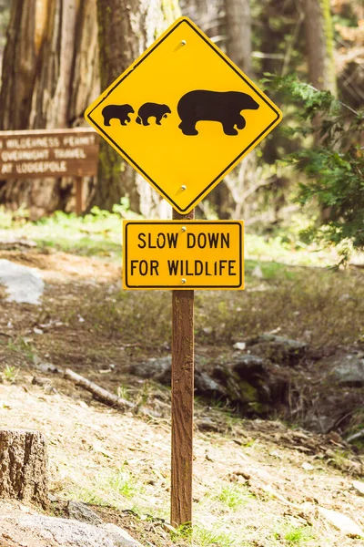 Panneau Ours Sur Route Dans Parc National — Photo