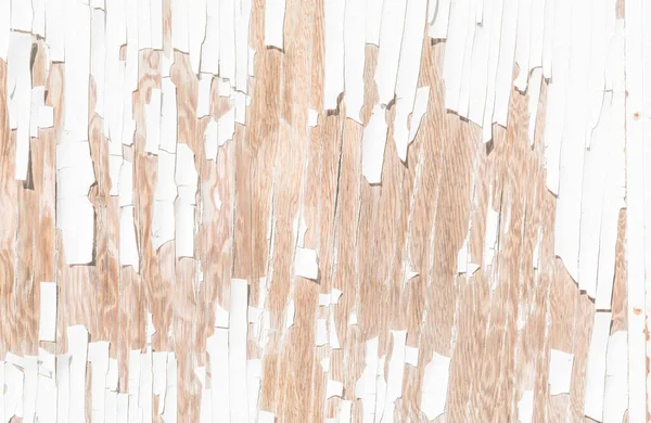 old white wood wall background.