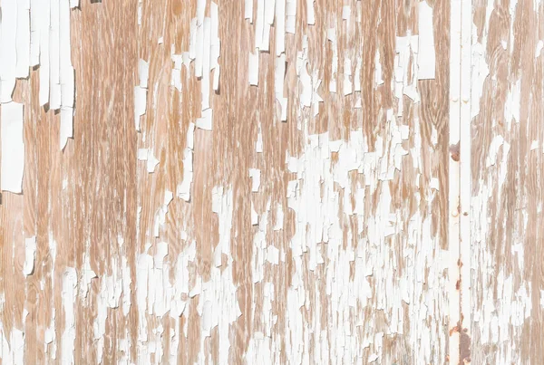 old white wood wall background.
